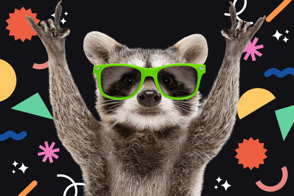 A Raccoon Ran Wild in a New York Airport After Falling From the Ceiling